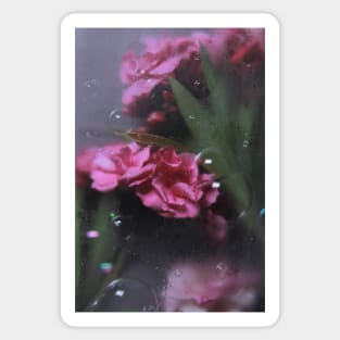 Pink flowers with frosted glass and bubbles photography Sticker